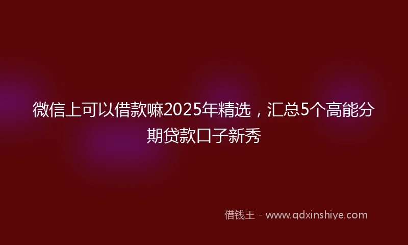 微信上可以借款嘛2025年精选，汇总5个高能分期贷款口子新秀