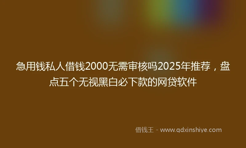 急用钱私人借钱2000无需审核吗2025年推荐，盘点五个无视黑白必下款的网贷软件
