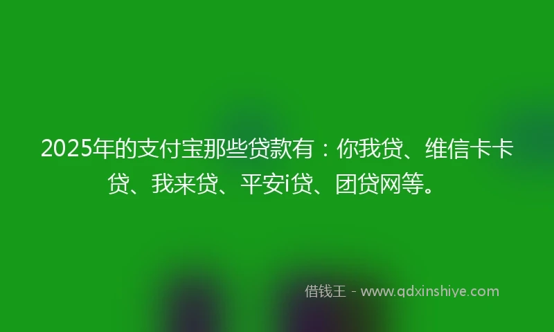 2025年的支付宝那些贷款有：你我贷、维信卡卡贷、我来贷、平安i贷、团贷网等。
