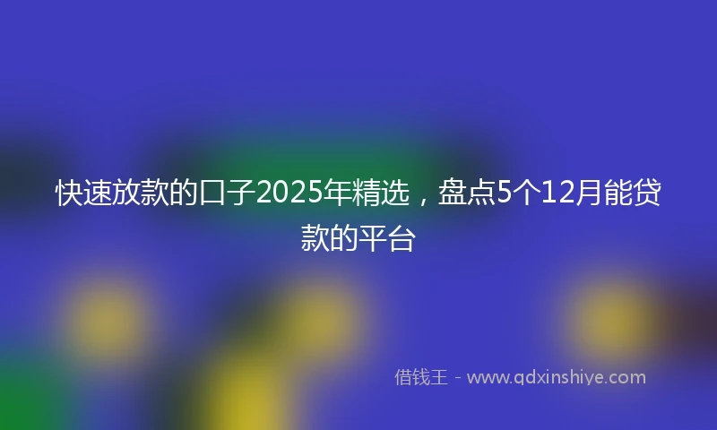 快速放款的口子2025年精选，盘点5个12月能贷款的平台