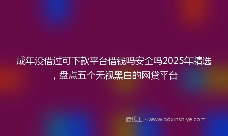 成年没借过可下款平台借钱吗安全吗2025年精选，盘点五个无视黑白的网贷平台