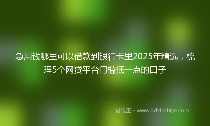 急用钱哪里可以借款到银行卡里2025年精选，梳理5个网贷平台门槛低一点的口子