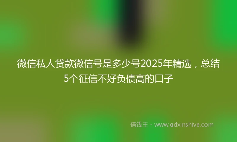 微信私人贷款微信号是多少号2025年精选，总结5个征信不好负债高的口子