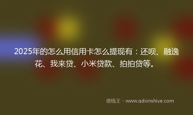 2025年的怎么用信用卡怎么提现有：还呗、融逸花、我来贷、小米贷款、拍拍贷等。