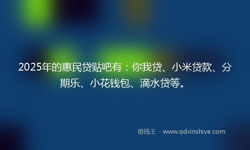 2025年的惠民贷贴吧有：你我贷、小米贷款、分期乐、小花钱包、滴水贷等。