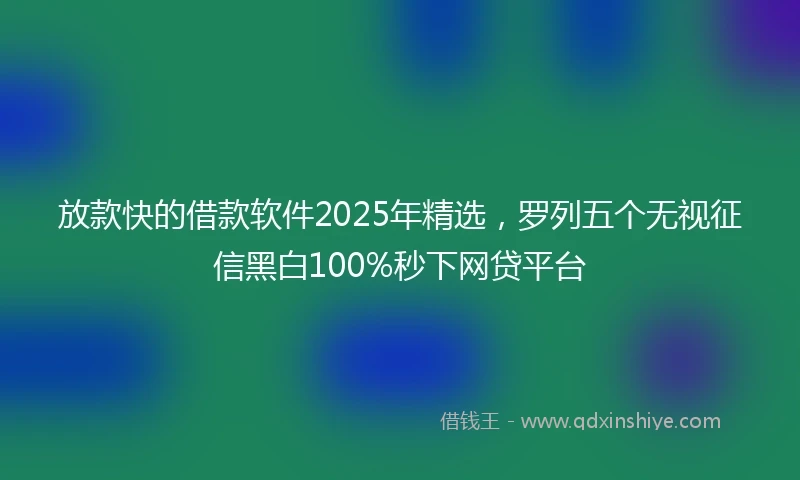 放款快的借款软件2025年精选，罗列五个无视征信黑白100%秒下网贷平台