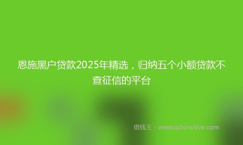 恩施黑户贷款2025年精选，归纳五个小额贷款不查征信的平台