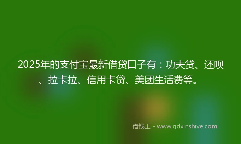 2025年的支付宝最新借贷口子有：功夫贷、还呗、拉卡拉、信用卡贷、美团生活费等。