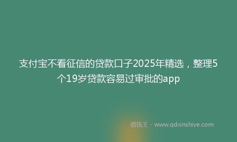 支付宝不看征信的贷款口子2025年精选，整理5个19岁贷款容易过审批的app