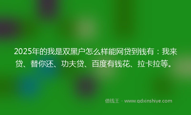 2025年的我是双黑户怎么样能网贷到钱有：我来贷、替你还、功夫贷、百度有钱花、拉卡拉等。
