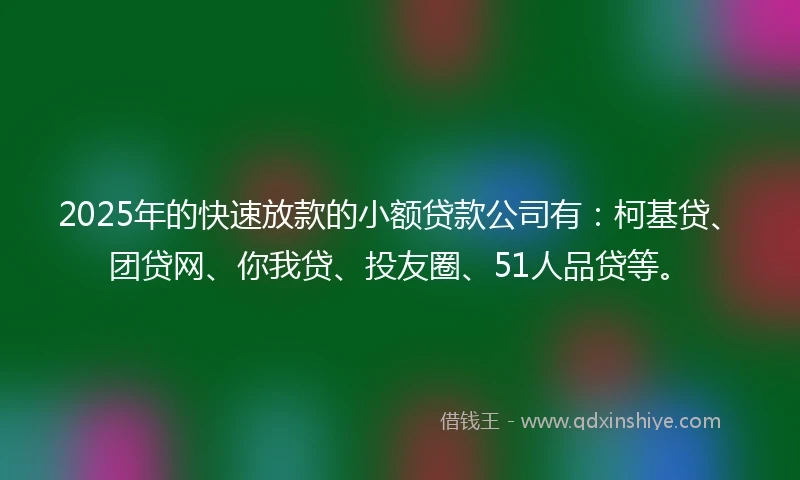 2025年的快速放款的小额贷款公司有：柯基贷、团贷网、你我贷、投友圈、51人品贷等。
