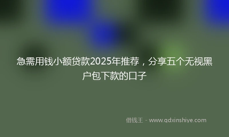 急需用钱小额贷款2025年推荐，分享五个无视黑户包下款的口子