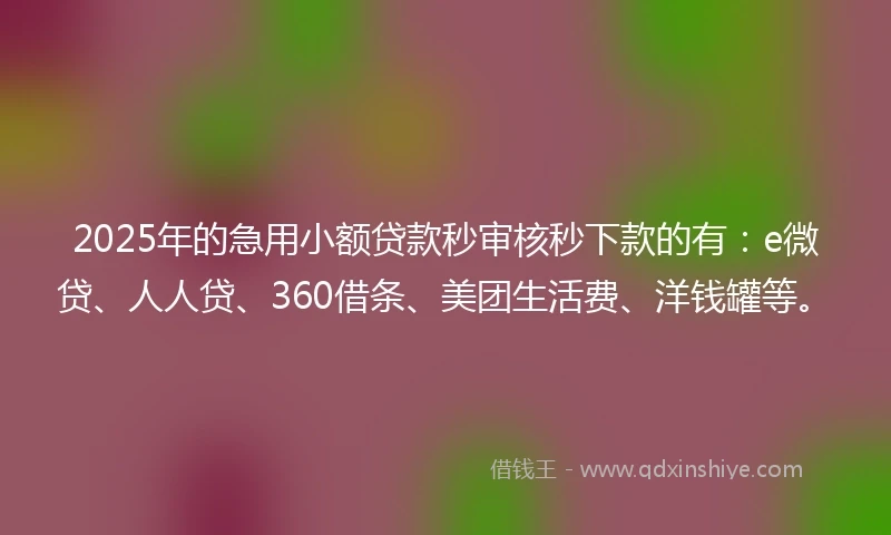 2025年的急用小额贷款秒审核秒下款的有：e微贷、人人贷、360借条、美团生活费、洋钱罐等。