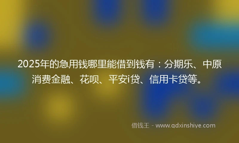 2025年的急用钱哪里能借到钱有：分期乐、中原消费金融、花呗、平安i贷、信用卡贷等。