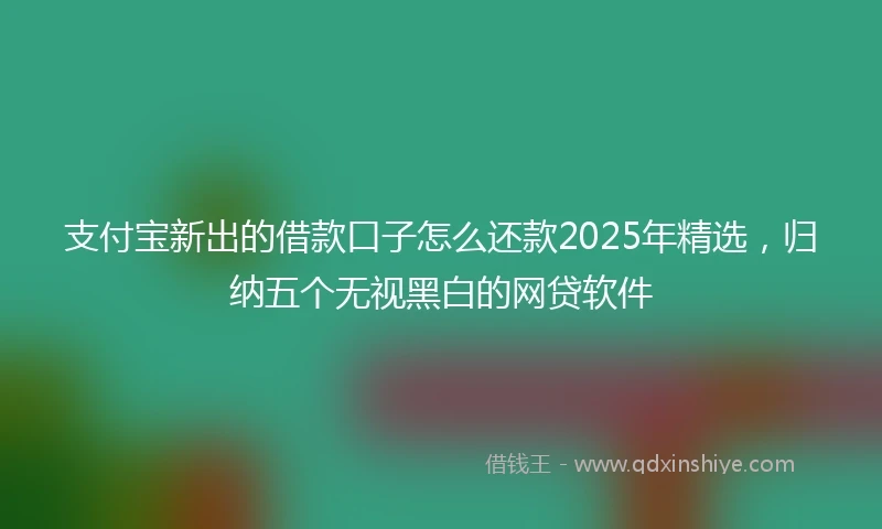 支付宝新出的借款口子怎么还款2025年精选，归纳五个无视黑白的网贷软件