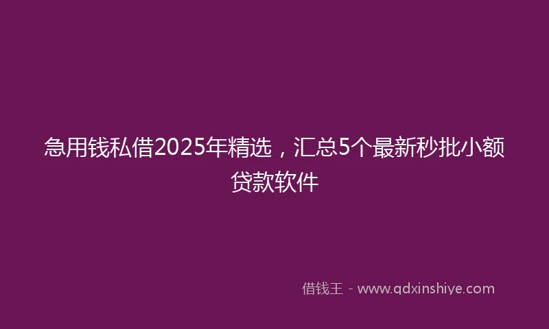 急用钱私借2025年精选，汇总5个最新秒批小额贷款软件