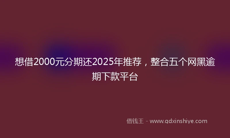 想借2000元分期还2025年推荐，整合五个网黑逾期下款平台
