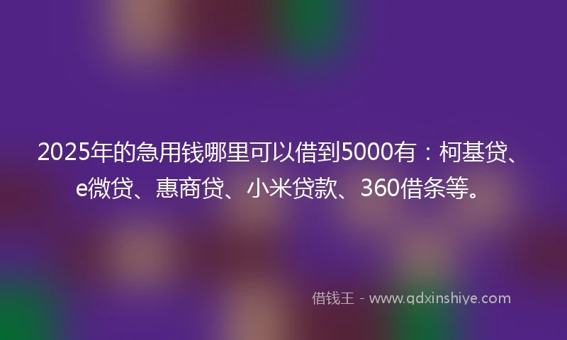 2025年的急用钱哪里可以借到5000有：柯基贷、e微贷、惠商贷、小米贷款、360借条等。