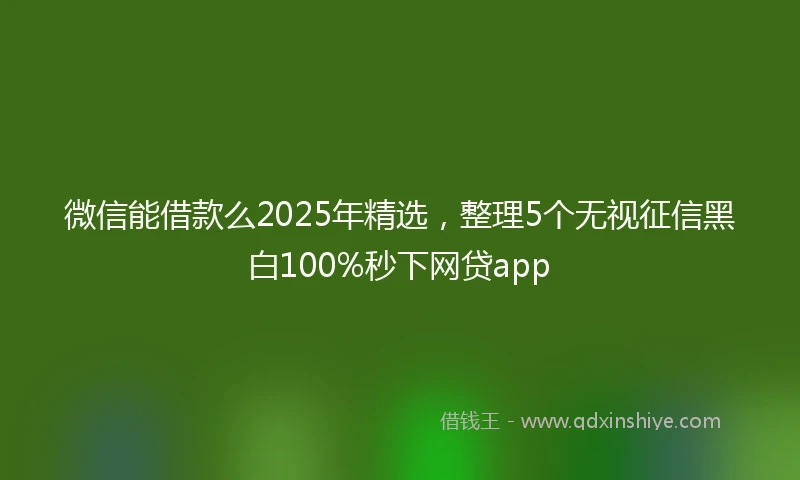 微信能借款么2025年精选，整理5个无视征信黑白100%秒下网贷app