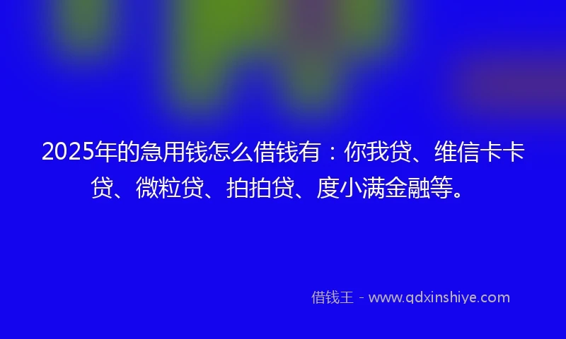2025年的急用钱怎么借钱有：你我贷、维信卡卡贷、微粒贷、拍拍贷、度小满金融等。