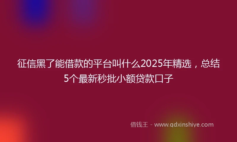 征信黑了能借款的平台叫什么2025年精选，总结5个最新秒批小额贷款口子