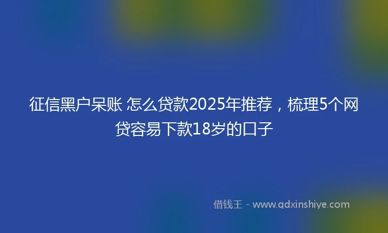 征信黑户呆账 怎么贷款2025年推荐，梳理5个网贷容易下款18岁的口子