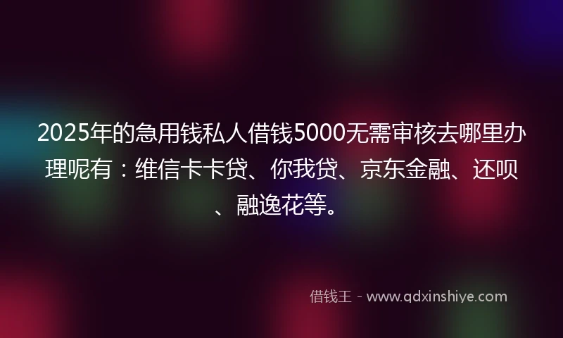 2025年的急用钱私人借钱5000无需审核去哪里办理呢有：维信卡卡贷、你我贷、京东金融、还呗、融逸花等。