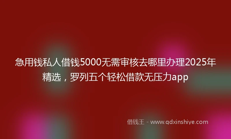 急用钱私人借钱5000无需审核去哪里办理2025年精选，罗列五个轻松借款无压力app
