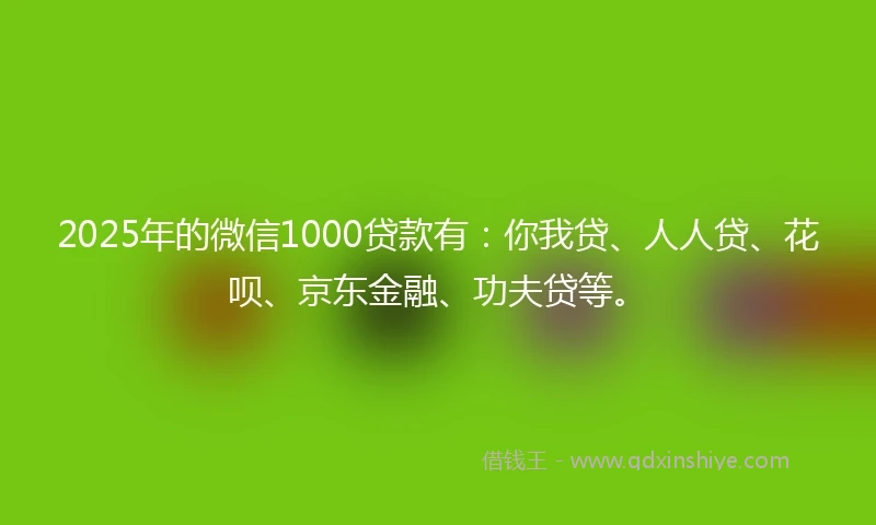 2025年的微信1000贷款有：你我贷、人人贷、花呗、京东金融、功夫贷等。