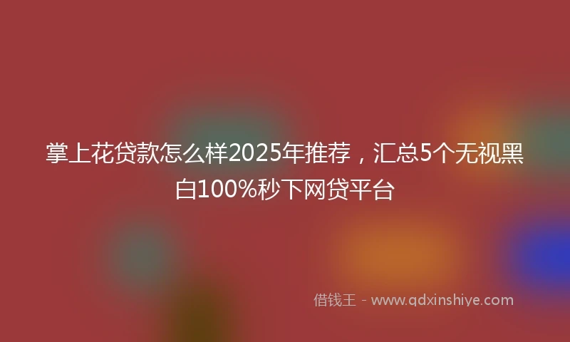 掌上花贷款怎么样2025年推荐，汇总5个无视黑白100%秒下网贷平台