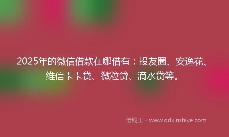 2025年的微信借款在哪借有：投友圈、安逸花、维信卡卡贷、微粒贷、滴水贷等。