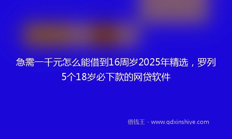 急需一千元怎么能借到16周岁2025年精选，罗列5个18岁必下款的网贷软件