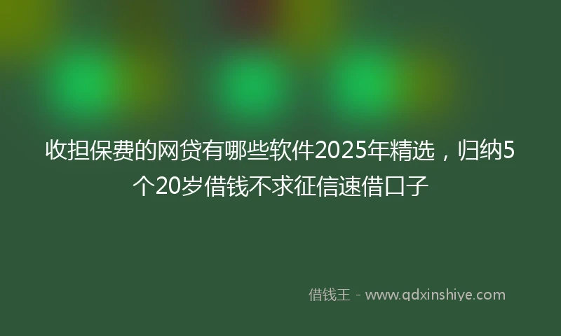 收担保费的网贷有哪些软件2025年精选，归纳5个20岁借钱不求征信速借口子