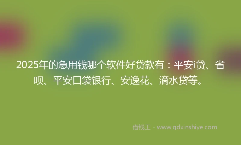 2025年的急用钱哪个软件好贷款有：平安i贷、省呗、平安口袋银行、安逸花、滴水贷等。