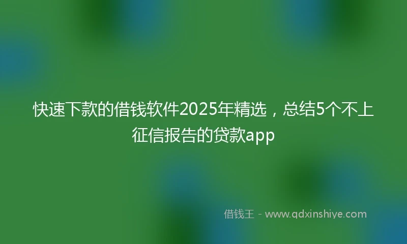 快速下款的借钱软件2025年精选，总结5个不上征信报告的贷款app