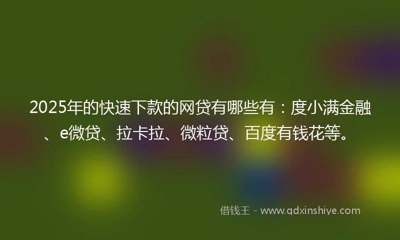 2025年的快速下款的网贷有哪些有：度小满金融、e微贷、拉卡拉、微粒贷、百度有钱花等。