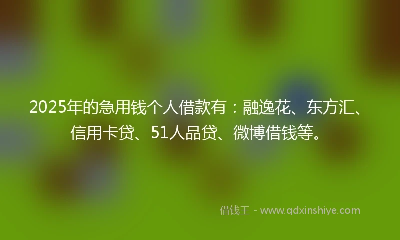 2025年的急用钱个人借款有：融逸花、东方汇、信用卡贷、51人品贷、微博借钱等。