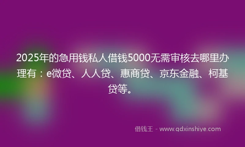 2025年的急用钱私人借钱5000无需审核去哪里办理有:e微贷、人人贷、惠商贷、京东金融、柯基贷等。