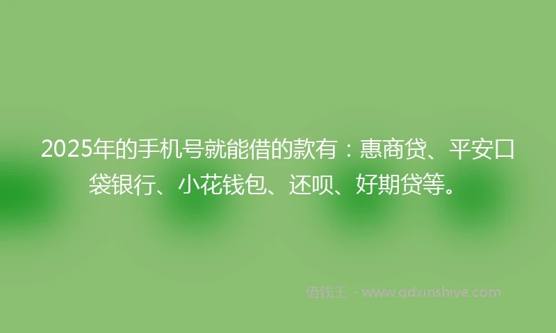 2025年的手机号就能借的款有：惠商贷、平安口袋银行、小花钱包、还呗、好期贷等。