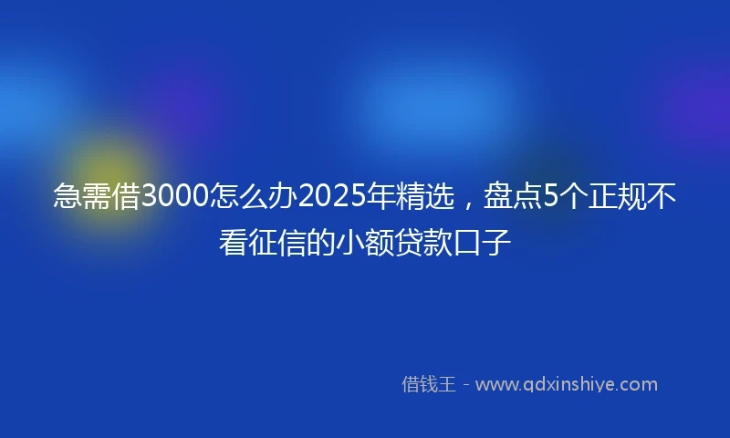 急需借3000怎么办2025年精选，盘点5个正规不看征信的小额贷款口子