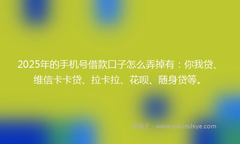 2025年的手机号借款口子怎么弄掉有：你我贷、维信卡卡贷、拉卡拉、花呗、随身贷等。