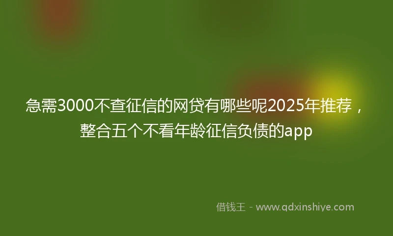 急需3000不查征信的网贷有哪些呢2025年推荐，整合五个不看年龄征信负债的app