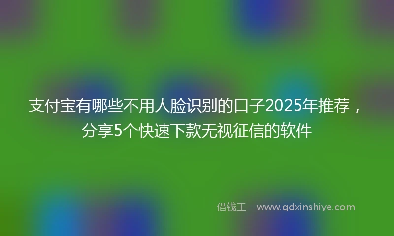 支付宝有哪些不用人脸识别的口子2025年推荐，分享5个快速下款无视征信的软件