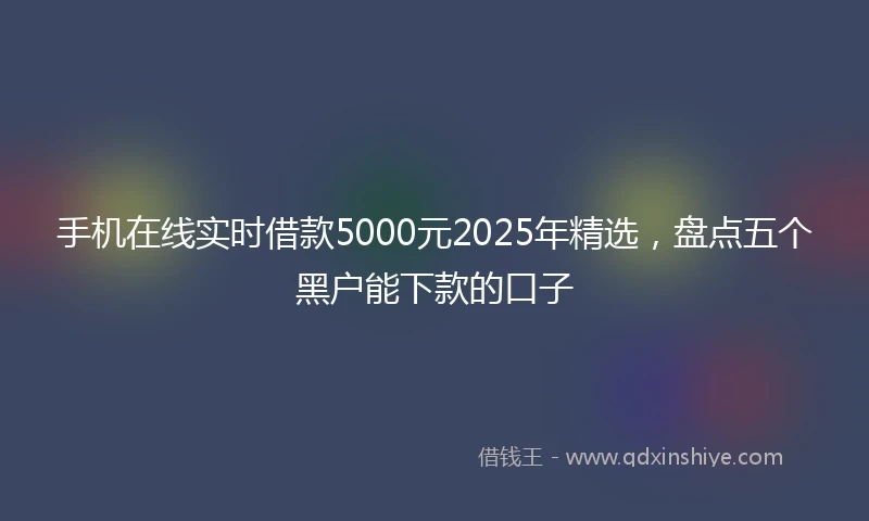手机在线实时借款5000元2025年精选，盘点五个黑户能下款的口子
