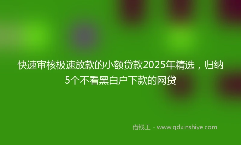 快速审核极速放款的小额贷款2025年精选，归纳5个不看黑白户下款的网贷