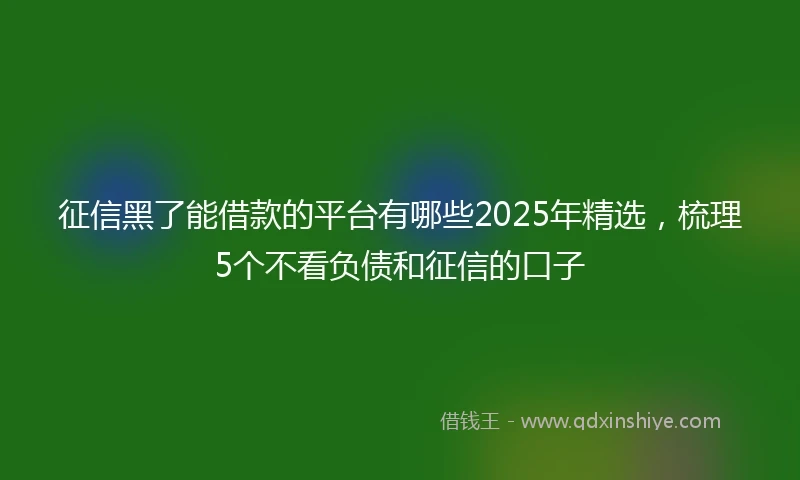 征信黑了能借款的平台有哪些2025年精选，梳理5个不看负债和征信的口子