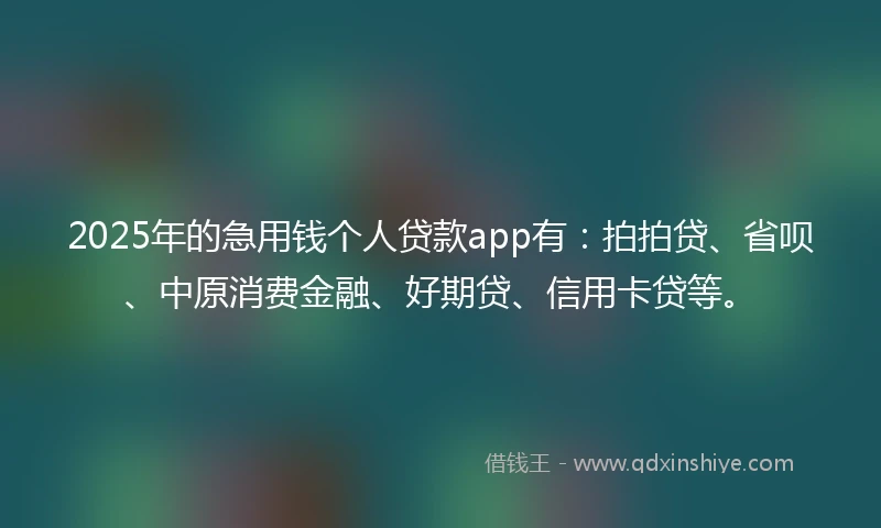 2025年的急用钱个人贷款app有：拍拍贷、省呗、中原消费金融、好期贷、信用卡贷等。