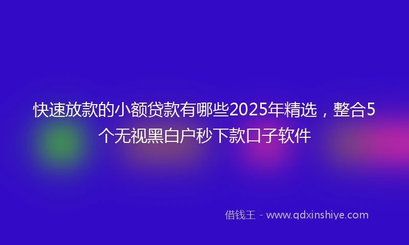 快速放款的小额贷款有哪些2025年精选，整合5个无视黑白户秒下款口子软件