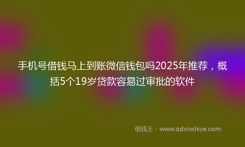 手机号借钱马上到账微信钱包吗2025年推荐，概括5个19岁贷款容易过审批的软件