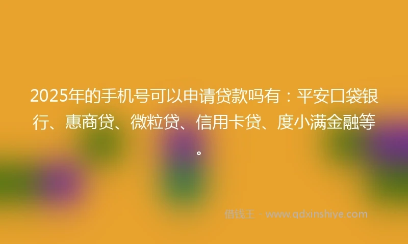 2025年的手机号可以申请贷款吗有：平安口袋银行、惠商贷、微粒贷、信用卡贷、度小满金融等。